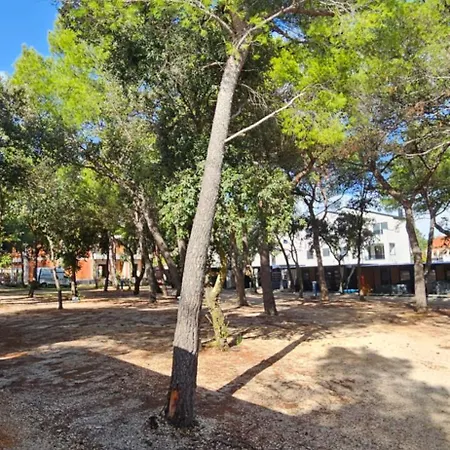 Apartman Doris