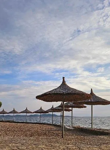 Doris Пакоштане